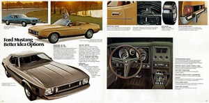 1973 Ford Mustang-10-11.jpg